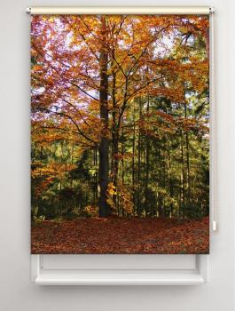 Rollo Wegesrand, Rollo, Motivrollo, Rollo mit Druck, Fotorollo, bedrucktes Rollo, Fensterrollo,verdunkelndes Rollo, Sonnenschutz Rollo
